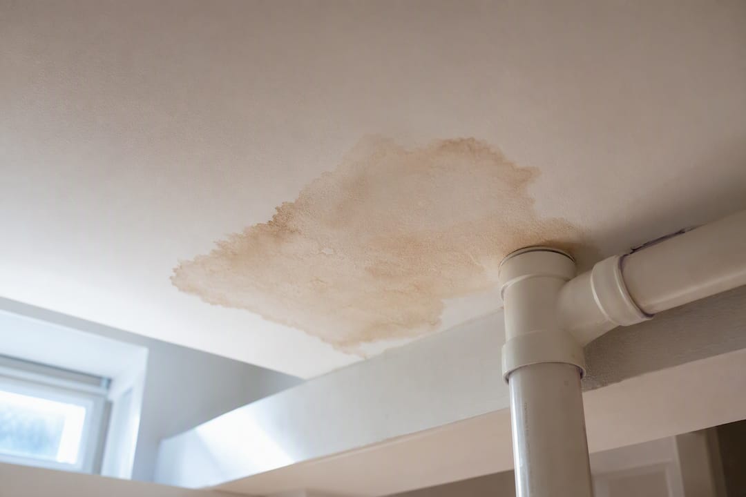 Water stain on basement ceiling drywall