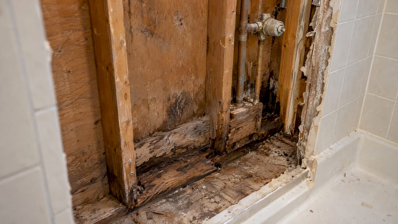 Water-damaged framing exposed during bathroom demolition